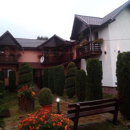 Pensiunea Denisa Sacalusesti Esterno foto