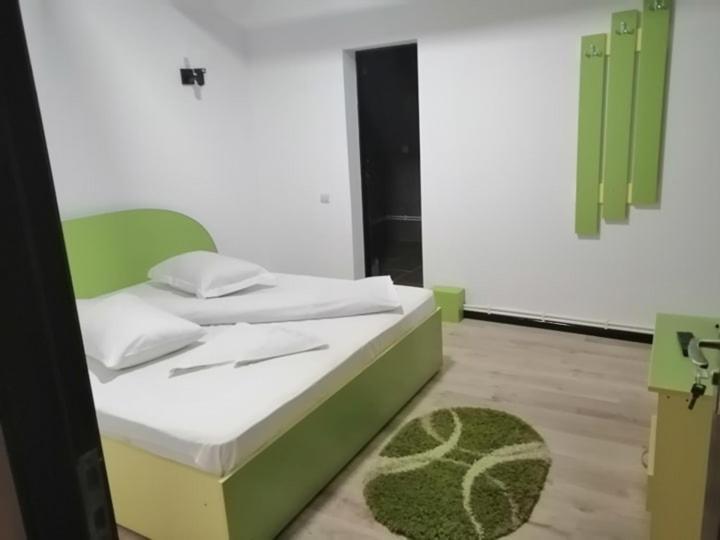 Pensiunea Denisa Sacalusesti Esterno foto